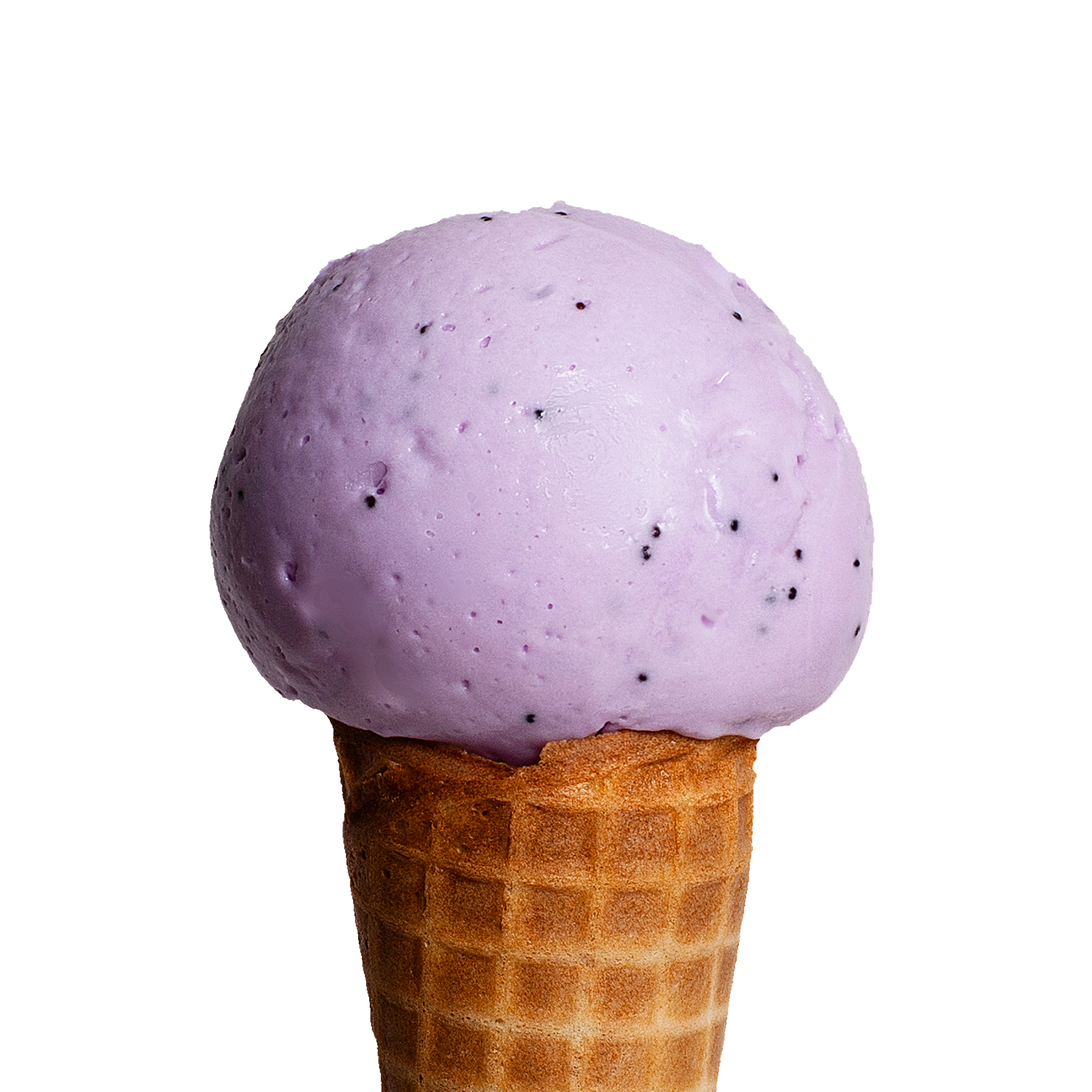 lavender poppy seed ice cream Gelato Boy